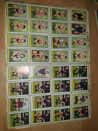 Campeonato de Liga 1972-73