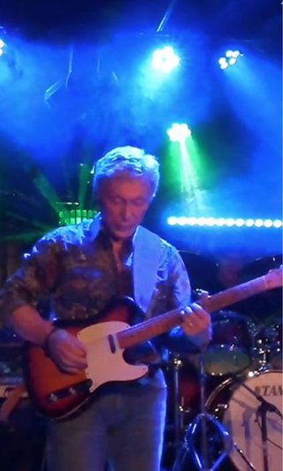Guitarrista para grupo blues/country