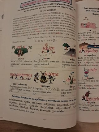 Ortografía ideovisual nivel 5