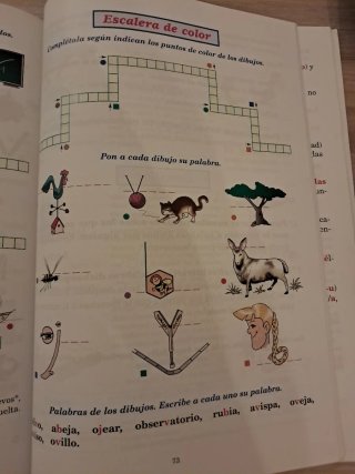 Ortografía ideovisual nivel 5