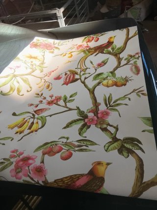 Papel pintado precioso con pájaros y flores, 2 rol