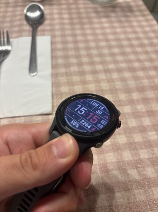Garmin Forerunner 255 Grigio