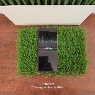 Samsung Galaxy Z Flip 7 Rosa 512Gb