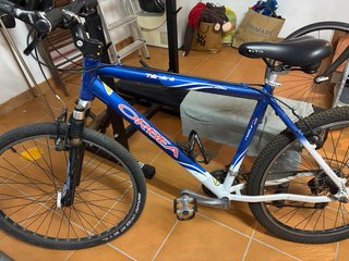 Bicicleta de montaña