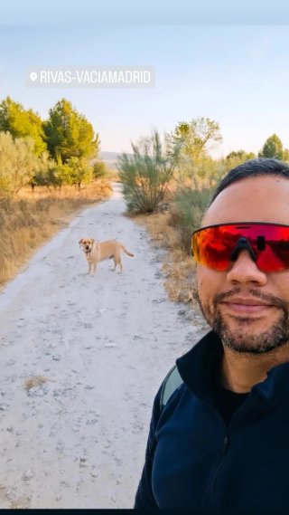 Servicio de paseo y cuidados de Mascotas