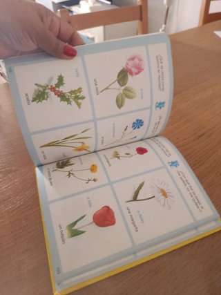 Diccionario por imágenes español-inglés