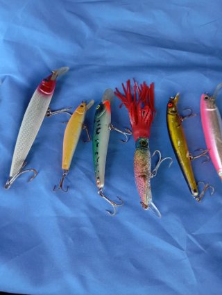 6 Señuelos de Pesca Grandes para Mar
