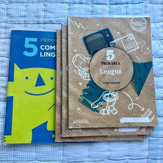 LOTE libros quinto primaria ANAYA. Colegio GSD