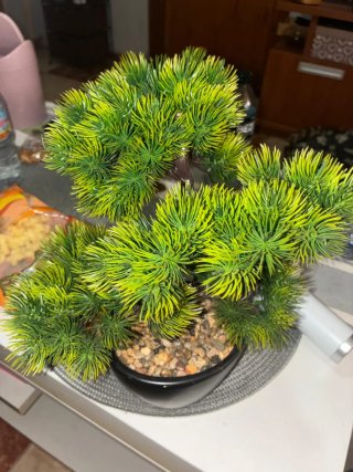 Planta artificial tipo bonsái