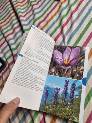 Book herbs and healing plants