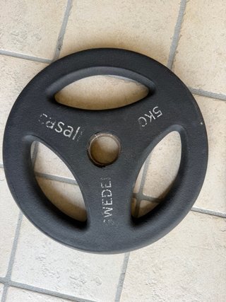 Due Dischi ghisa palestra 5kg l’uno Casall Sweden