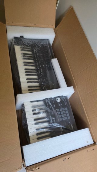 Korg PA5X 61 Teclas Profesional