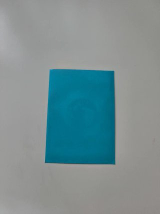 Carta Pokémon Morpeko VMAX Arcoíris 204/202