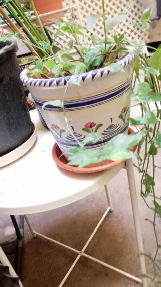 Due vasi di ceramica decorati