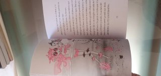 Isadora Moon va de viaje