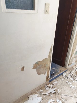 PLADURISTA Y PINTOR PROFESIONAL | PLADUR + PINTURA
