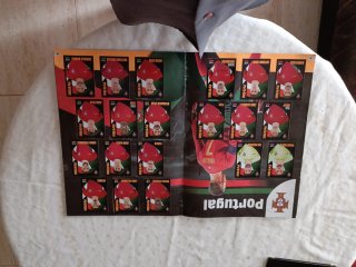 Álbum Panini World Class 2024 Completo