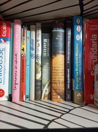 Lote de libros