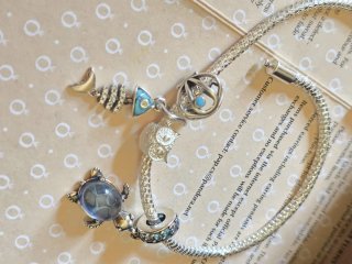 Lote charms Pandora tortuga pez búho