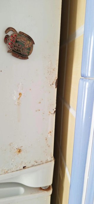 Frigorífico Zanussi Blanco