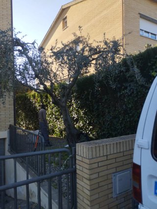 Servicio de limpieza de parcelas