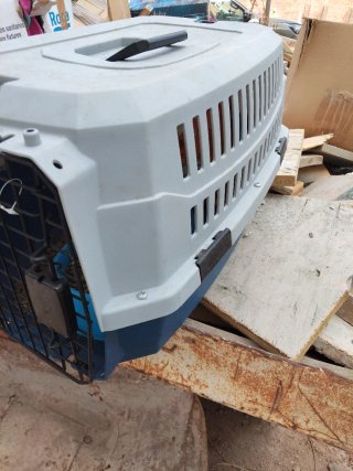 Transportín para gatos y otros animales