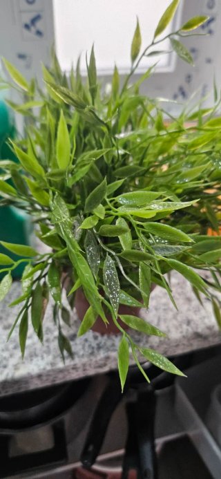 Planta artificial pequeña marrón y verde