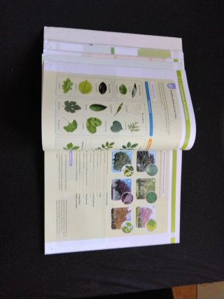 BIOLOGIA Y GEOLOGIA 3 ESO  9788491317869