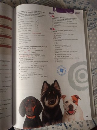 Libro actividades inglés