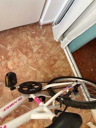 Bicicleta Denbike First 20 Niña