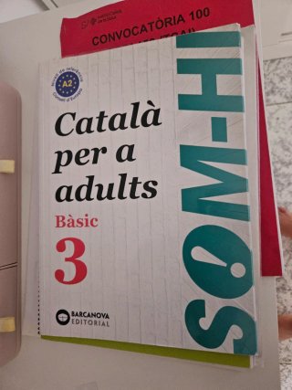 Som-hi català per a adults. Bàsic 3