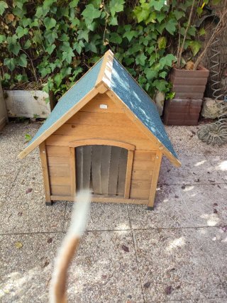 Caseta Perro Madera Techo Verde