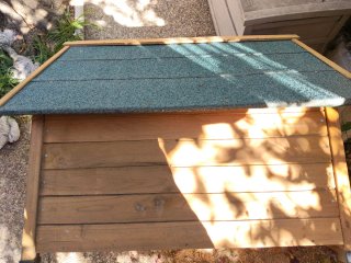 Caseta Perro Madera Techo Verde