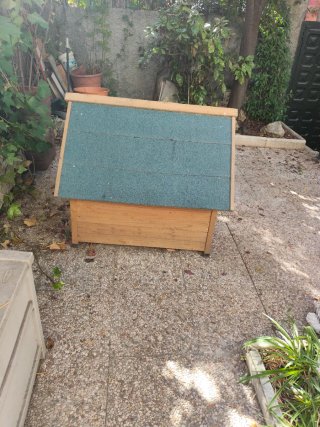 Caseta Perro Madera Techo Verde