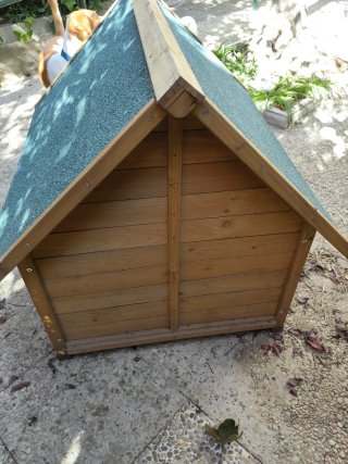 Caseta Perro Madera Techo Verde