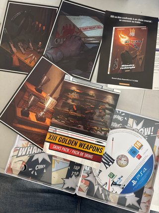 XIII Edición Limitada PS4