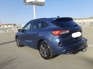 Ford Kuga  1.5 TDCI  2022