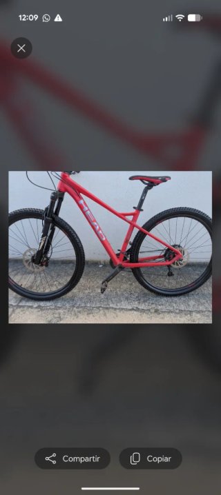 Bicicleta de Montaña 29 HEAD