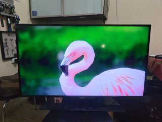 Smart TV Philips 40 40PFH5300/88 + Mando original