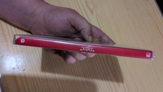Dex Nintendo Switch Pecintado