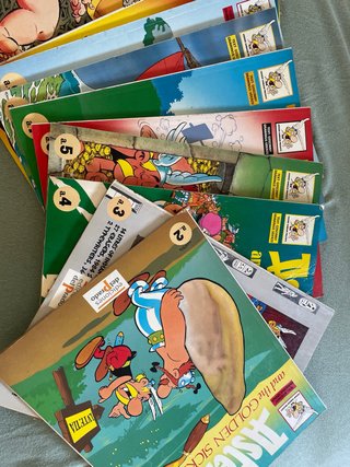 Colección incompleta de libros de Astérix (inglés)