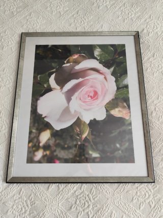 Cuadro Rosa Marco Madera y Metal