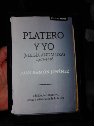 Platero y yo
