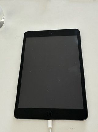 iPad Mini Negro