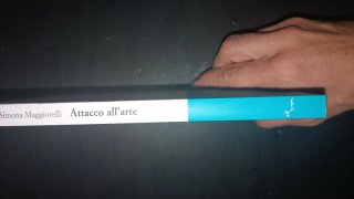 Attacco all'arte la bellezza negata