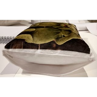 Cojín de felpa ranas