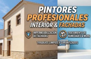 Pintor profesional Interior/Exterior