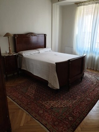 Cama antigua de raíz