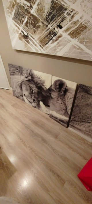 Cuadro Lienzo Leones Gris
