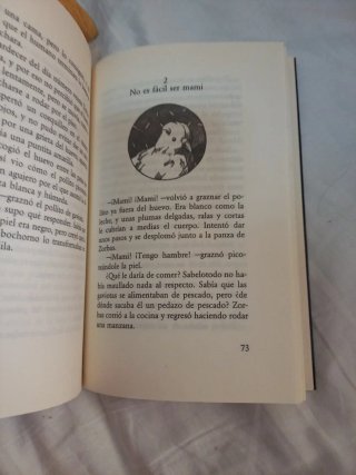 Historia de una gaviota y del gato que le ensen...